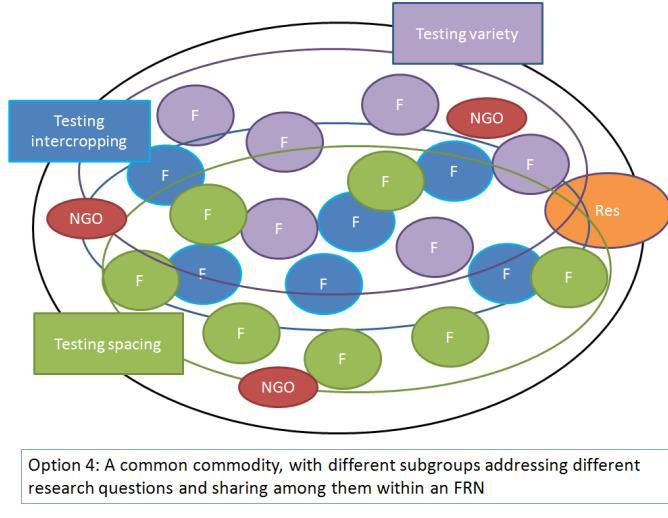 Figure 1. Different options or models for Farmer Research Networks (FRNs); modified from B. Letty, 2015, personal communication.
