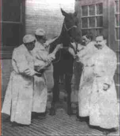 Historical Safety Incidents Highlights from the Biologics Chapter 1901: Diphtheria antitoxin contaminated with tetanus from an infected milk horse (led to the Biologics Control Act of 1902) 1945:
