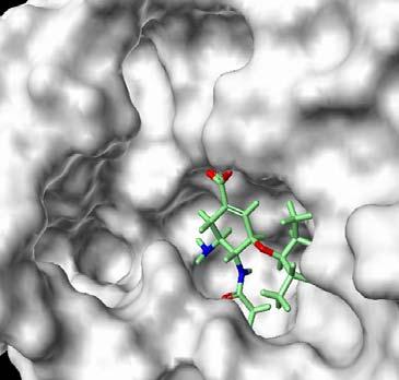 Computational chemistry Analytical chemistry (enables in house ADMET assays) Tamiflu in N1 Can make tool