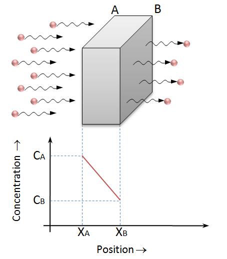 Concentration gradient is obtained as, = Figure 1.11: Steady state diffusion Fick s second law of diffusion: Most practical diffusion situations are usually of unsteady state. i.e., the diffusion flux and the concentration gradient at some particular point in solid vary with time resulting in net accumulation or depletion of diffusing species.