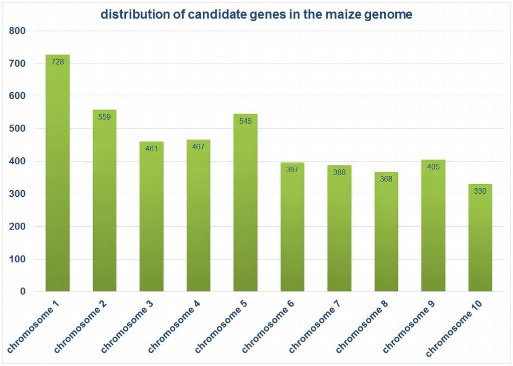 Fig 7. Distribution of 4,785 candidate genes over 10 maize chromosomes.