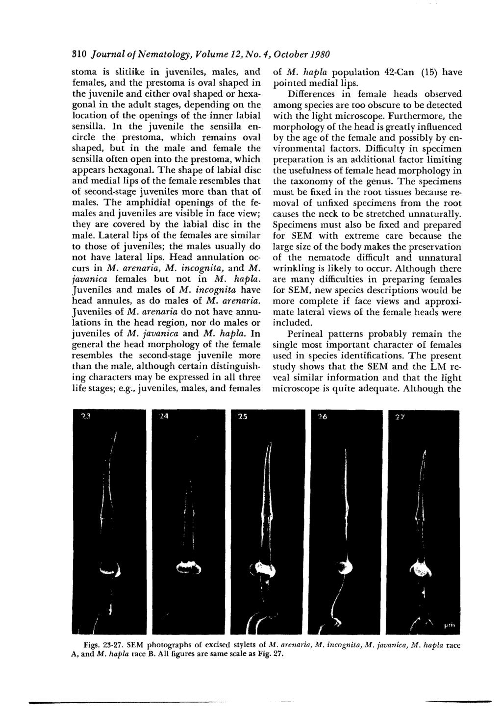 310 Journal of Nematology, Volume 12, No.