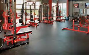 INDOOR FLOORING Impact-absorbent and slip-resistant flooring designed for heavy-duty use in gymnasiums and fitness areas.