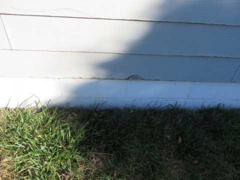 Blistering or puckering was observed in composite clapboard siding.