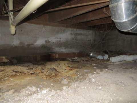 40 of 46 Moisture & Mildew Degree of Damage: Some condensation The north crawlspace dirt floor is wet below the dripping drain pipe for the