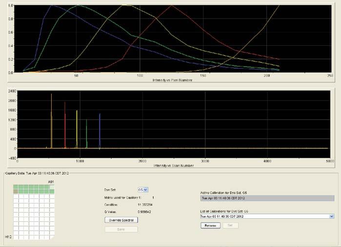 10609TA Figure 8. Representative data for the PowerPlex 5-Dye Matrix Standards, 3100/3130, on the Applied Biosystems 3130 Genetic Analyzer using POP-7 polymer and Data Collection Software, Version 3.