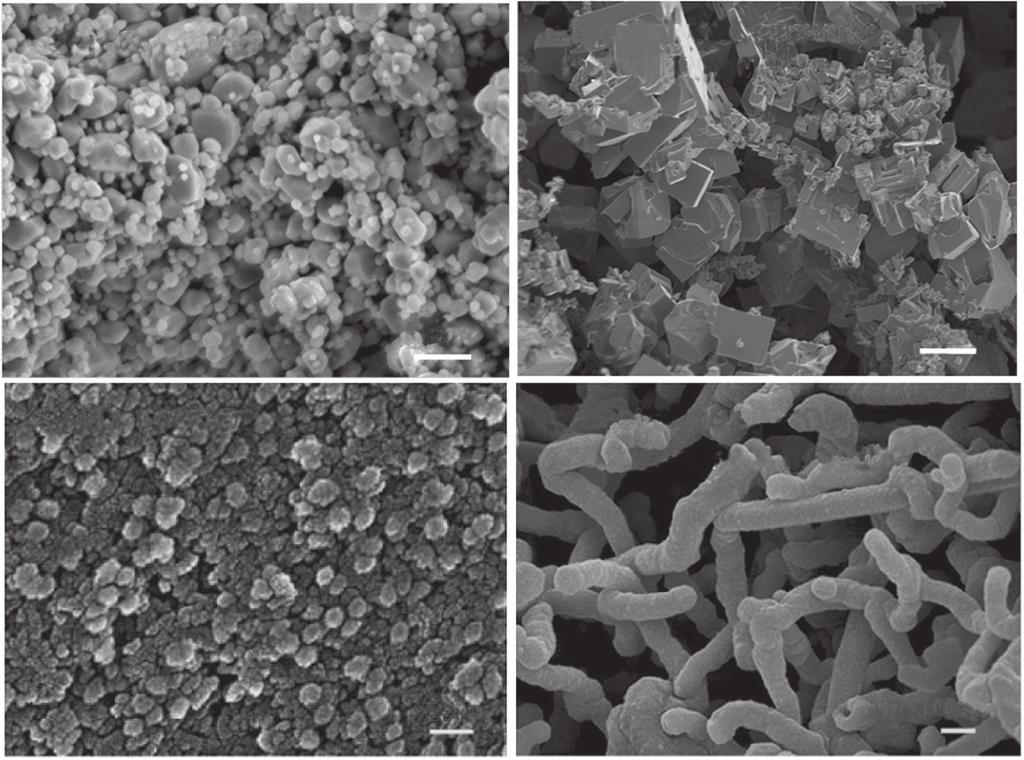 3 SEM images of the commercial powders of (a) Ta 2 O 5, 41 (c) MoS 2, 44 (e) Cr 2 O 3, 17 and (g) SiO 2, 45 and their electroreduction products (powders), (b) Ta, 41 (d) Mo, 44 (f) Cr 17 and (h) Si,