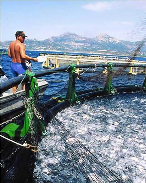 aquaculture and development source: http://ec.europa.eu/commission_barroso/borg/img/photos/hottopic_7.