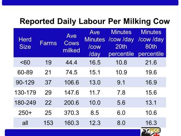 Larger farms tended to have lower labour minutes per cow. Farms that milked less than 60 cows averaged nearly 16.