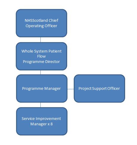 4. ORGANISATION CHART The Programme team works closely with project teams and key colleagues within NHS Boards and other NHS Organisations (e.g. HIS, NSS, ISD) to deliver key pieces of work.