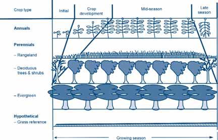 Irrigation manual Figure 16 Crop growth stages for different