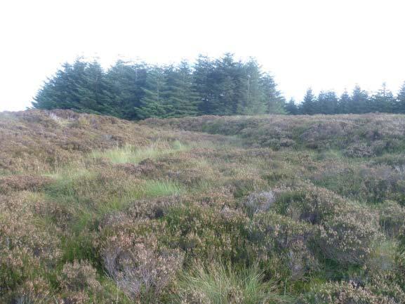 Observation Peat Depth Range (m) Photo 3 Localised