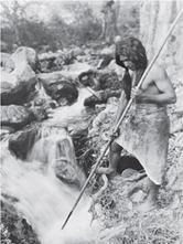 Figure 1-1 shows a Pomo 1 woman, Native North Americans Northwest of the Pacific, foraging in the early twentieth century; and using a beater to gather seeds into a basket.