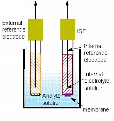 Electrochemical Detection Two-Electrode System: Working Electrode (WE): Ion-selective Electrode Reference Electrode (RE): Ag/AgCl