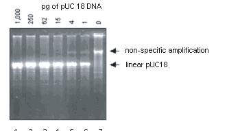 Problem: No sequencing result In the absence of input DNA, an amplification product will probably still be produced. (Figure 4).