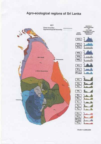 Sri Lanka at a glance Tropical island in Indian ocean Agricultural economy Population 21 m Agro-ecology: