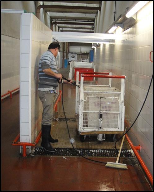 Example of a Cart Cleaning Station This cart cleaning station at a hospital uses sodium hypochlorite solution for disinfection followed by rinsing with a pressure hose to clean infectious waste