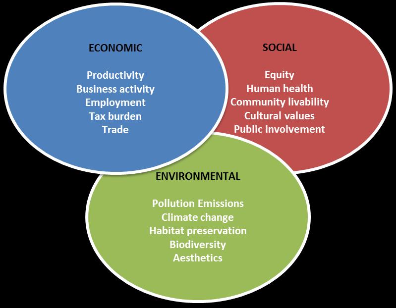 52 13 Figure Sustainability Goals In fact, economic and social sustainability, on the one hand, and social and environmental sustainability on the other, have been found to be not only compatible,