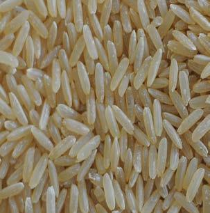 Accept Reject White rice Brown rice Parboiled rice