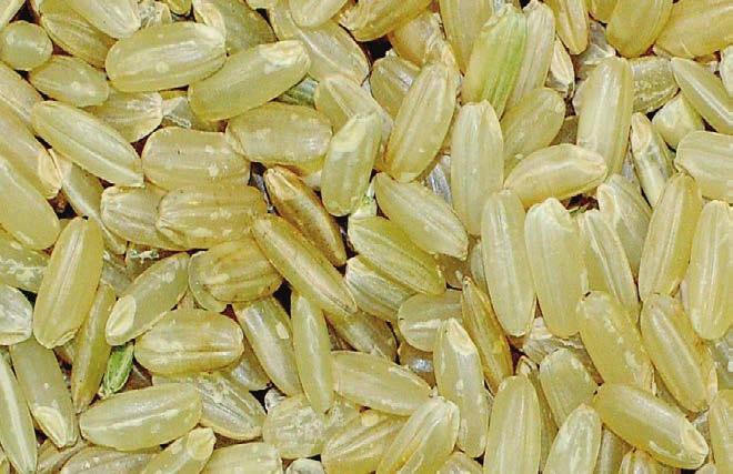Sample test on brown rice removed a wide variety of