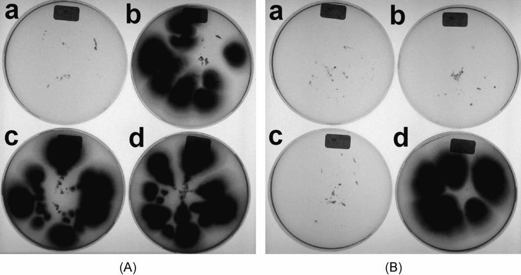 162 Osborne et al. Fig. 1 Influence of incubation time with terbinafine on Nail-MFC.