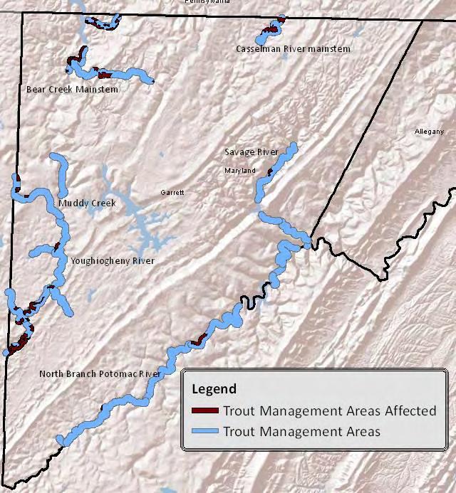 Recreation & Visual Impacts: Trout Streams Direct impact: Shale gas development on nearly1 of every 4 leases andan associated 22,000+ acres may affect access to or quality of key trout fishing areas