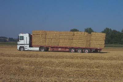 Price of straw free processing site Fertilizing value: 25 /t Sales bonus 20 /t (Straw drying 10