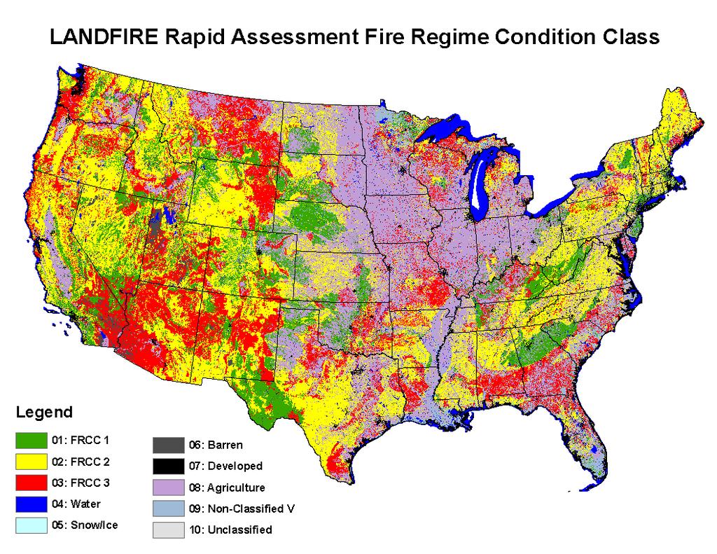 Restoring Fire Adapted Forest Ecosystems RA