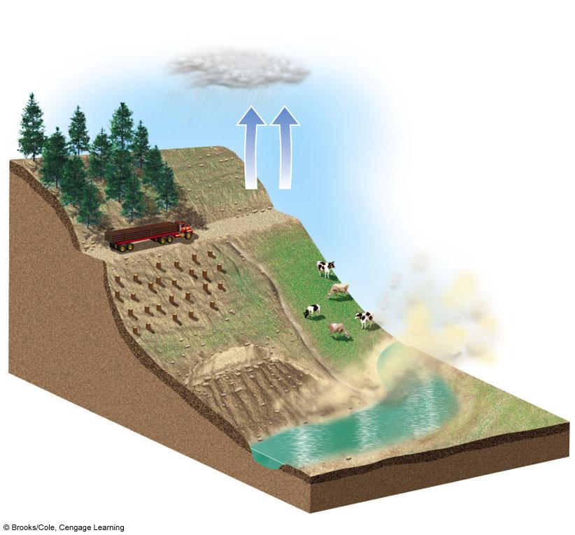 Tree plantation Gullies and landslides Roads destabilize hillsides Evapotranspiration decreases Overgrazing accelerates soil erosion by water and wind Winds remove fragile topsoil