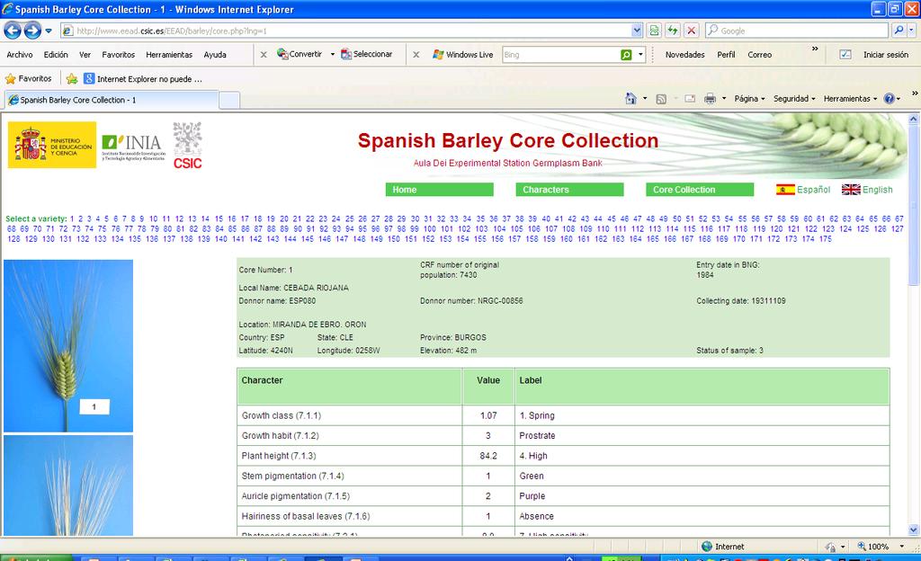 Association in the Spanish Barley Core Collection (SBCC) Choice of