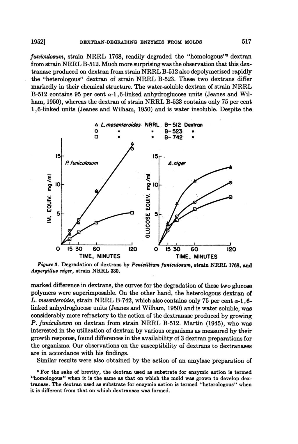 1952] DEXTRAN-DEGRADING ENZYMES FROM MOLDS 517 funiculosum, strain NRRL 1768, readily degraded the "homologous"3 dextran from strain NRRL B-512.