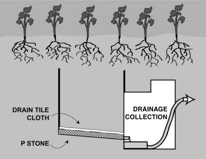 Soil Water Sampling Soil water samples were obtained using two methods. The first was leachate from drainage lysimeters previously installed in the field (Martin et al., 1999).