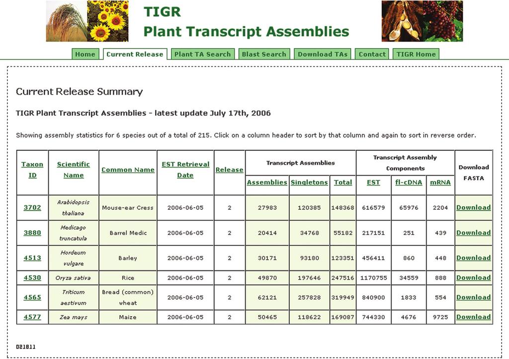 D2 database (http://plantta.tigr.org).