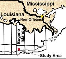 South Eugene Island, Gulf of Mexico Eugene Island Blocks 330 and 314 are excellent fields in