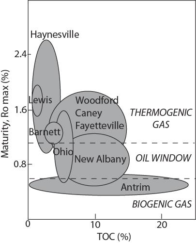 CO 2 /CH 4 Adsorption in Appalachian Devonian Shales Only
