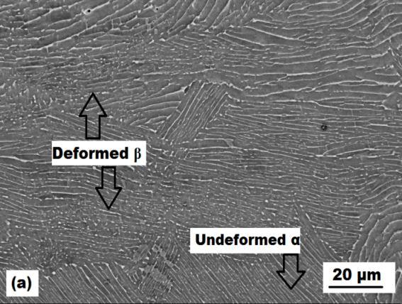This revealed α phase volume fraction of 89 ± 3.3 % and average thickness of initial α lamellae ~ 2.5 µm. In order to prevent oxidation at elevated temperature workpiece was coated with Deltaglaze.