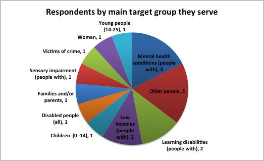 Our findings - the details About the survey respondents Figure 1 shows the main target groups served by the 20 respondents; just under half of which support