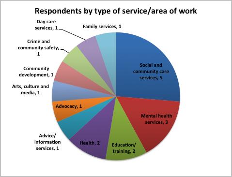 Figure 1 Main target groups served by respondents Type of services they deliver As you can see from Figure 2, a quarter provide some type of social and