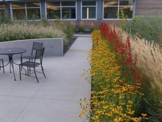 Integrate Stormwater into the Landscape Restore Ecological
