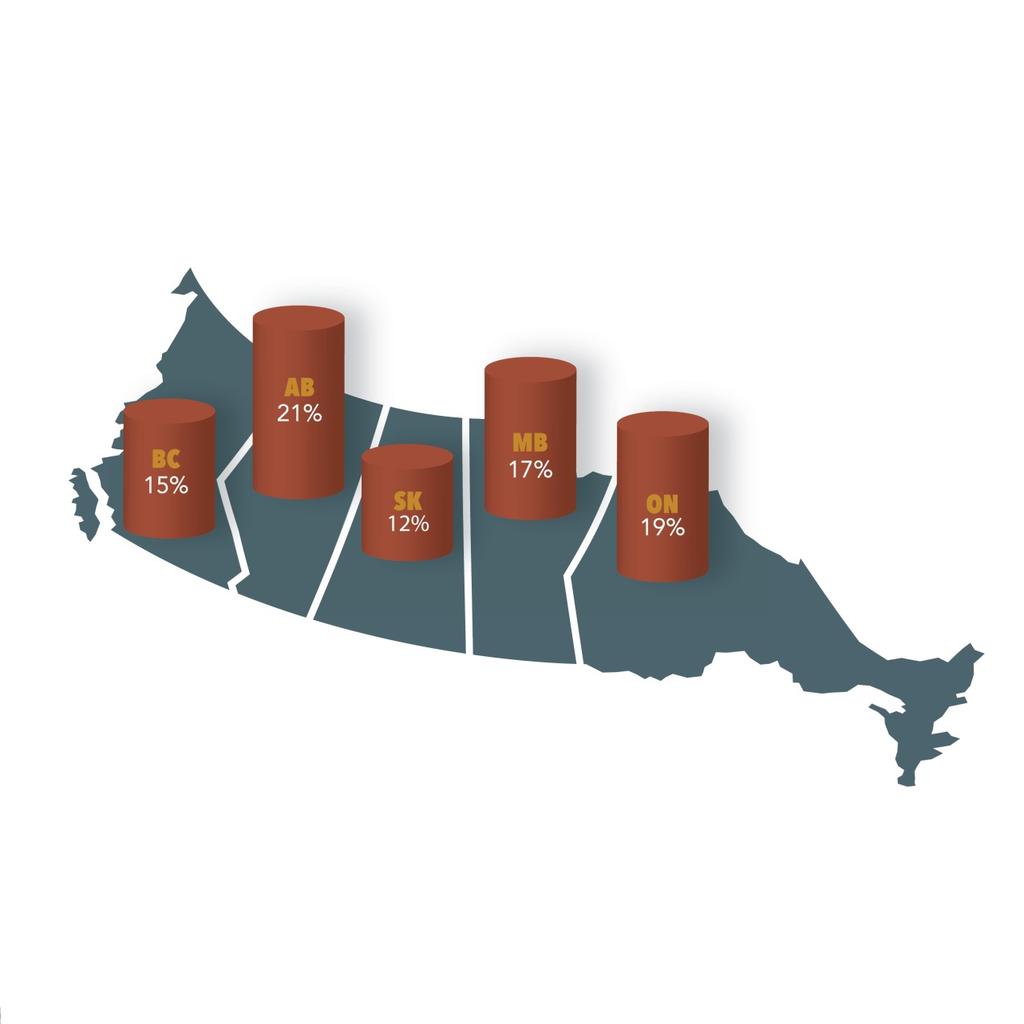 MÉTIS POPULATION DYNAMICS 389,780 Canadians Self-Identify as Métis 86, 020 Ontarians Self- Identify as Métis 87% live in Ontario and the Western provinces 69% live in urban areas The Métis population