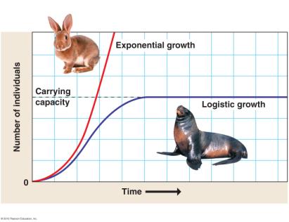 2 Population Growth The Logistic Growth Model Two models Exponential