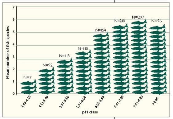 ph Effects on Fish Population