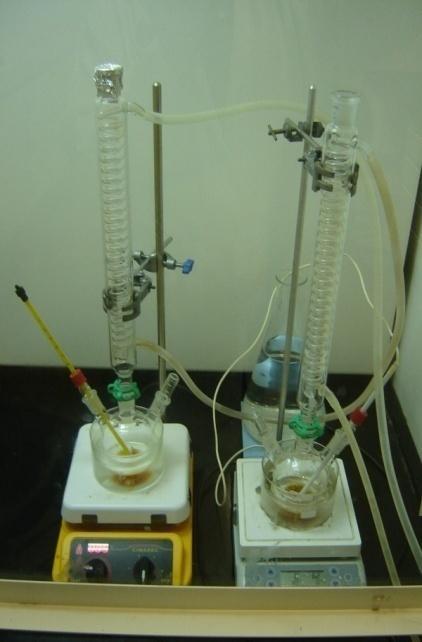 filed: Synthesis of Biodiesel from Palm Oil and Rubber