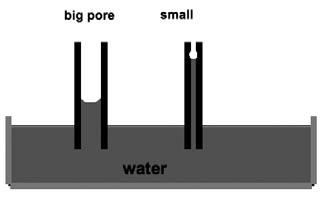 Via defective or non-existing horizontal insulation, moisture can rise in capillary form in the masonry. Capillary action (Fig.