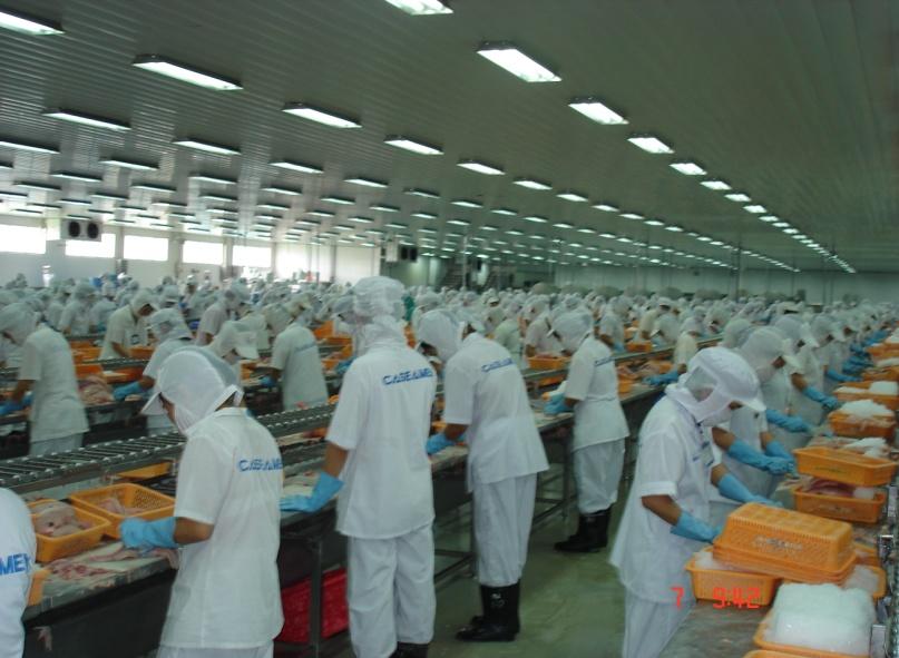 Women: Gender role in processing plant - Documenting, office