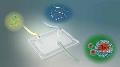 info@precision-nano.com 1-888-618-31 Result PLGA NPs were formulated on the NanoAssemblr benchtop using the microfluidic mixing approach, illustrated in Figure 1.
