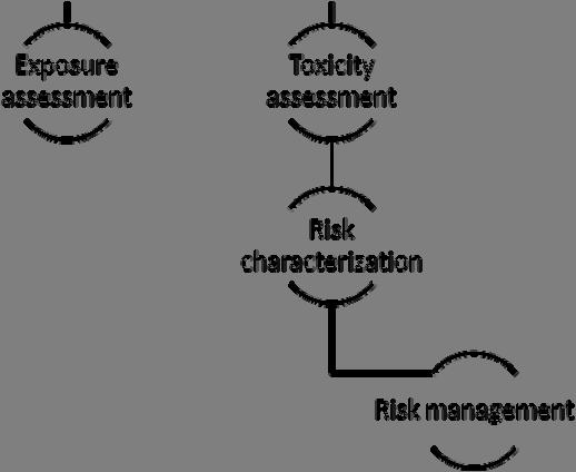The toxicity and exposure assessment of diethyl phthalate was conducted to characterize its risk on human health. Risk management is also discussed.