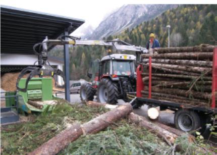 The bioenergy model: A short sustainable biomass supply