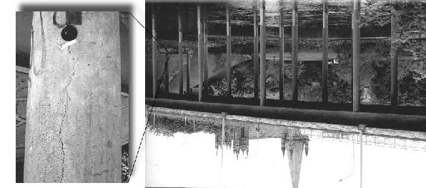 2 2 mm 200 mm Figure 1. Overview of the Elgeseter Bridge near the Nidaros Cathedral in Trondheim. Picture to the left shows close-up of vertical cracks in columns due to AAR.