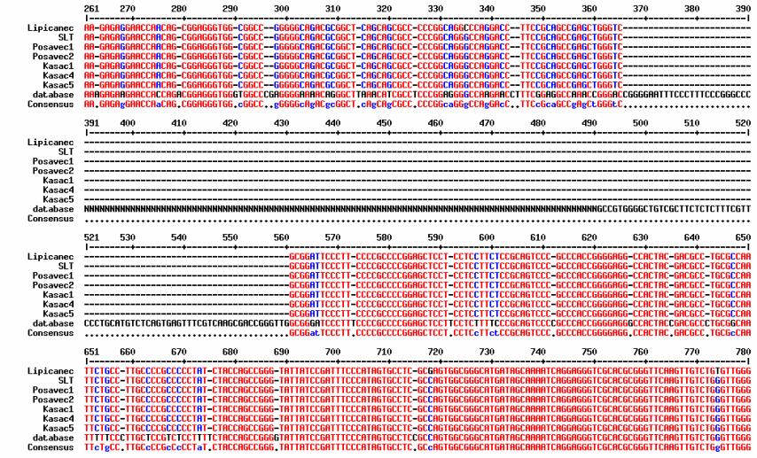 22 Dodatno smo poleg posameznih razlik v nukleotidnem zaporedju ugotovili tudi večjo razliko, in sicer 195 bp dolgo insercijo v nukleotidnem zaporedju, pridobljenem iz podatkovne zbirke sekvenciranja